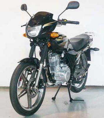 ZIPSTAR LZX12510 Two wheeled motorcycles