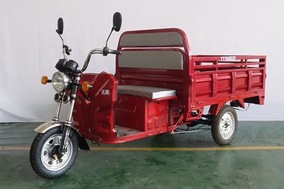 Yiying  YY1500DZH Electric tricycle