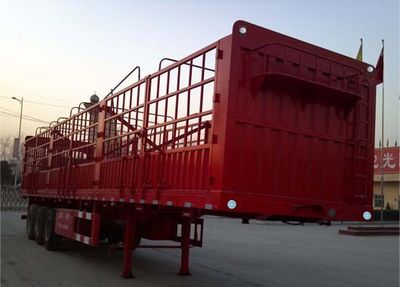 Junqiang  JQ9406CCY Gantry transport semi-trailer