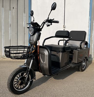 Qianfeng Jinlu  JL1200DZK2 Electric tricycle