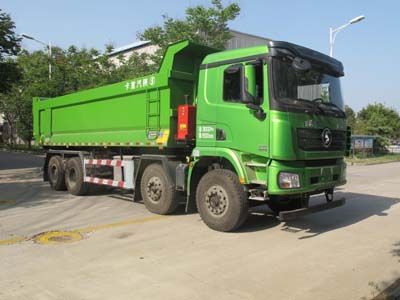 Shaanxi Automobile SX33195C346 Dump truck