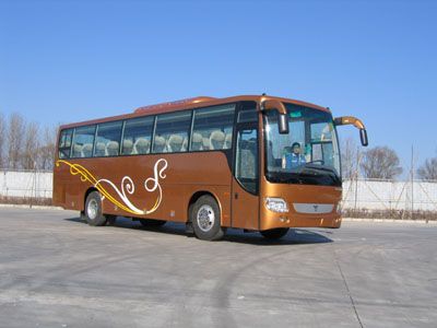 Ouman  BJ6101U8LGB coach