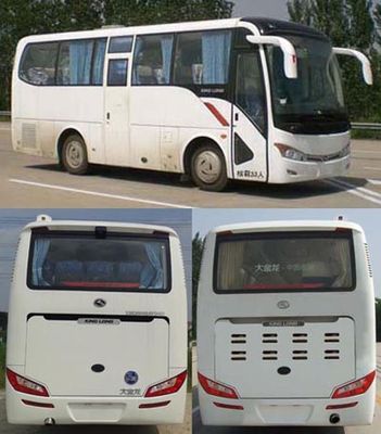 Jinlong  XMQ6802AYN5S coach