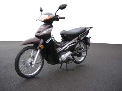 Zongshen brand automobiles ZS1000D Electric two wheeled motorcycle