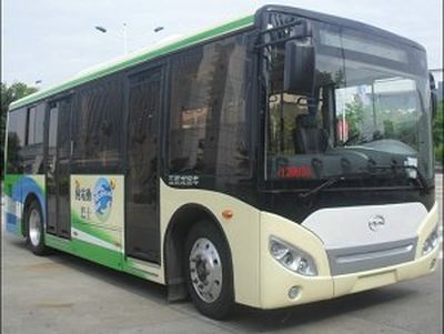 Wuzhoulong  FDG6801EVG1 Pure electric city buses