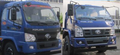 Foton  BJ3165DJPED1 Dump truck