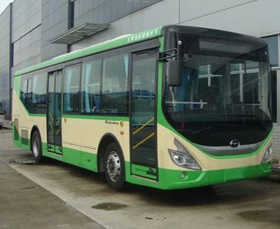 Wuzhoulong  FDG6103EVG Pure electric city buses