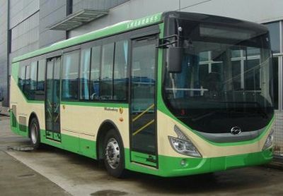 Wuzhoulong  FDG6103EVG Pure electric city buses