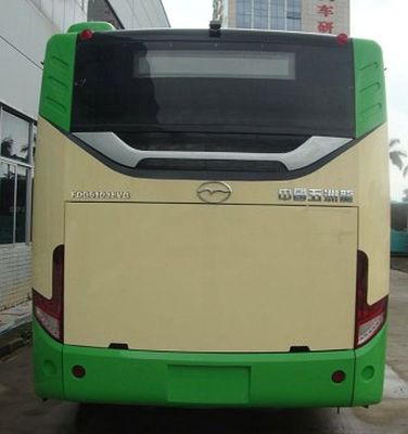 Wuzhoulong  FDG6103EVG Pure electric city buses