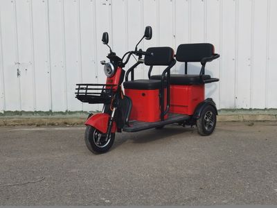 Green Source  LY1200DZK Electric tricycle