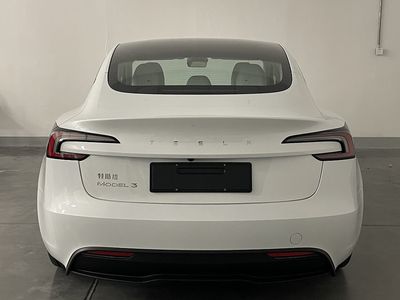 Tesla TSL7000BEVAR7 Pure electric sedan