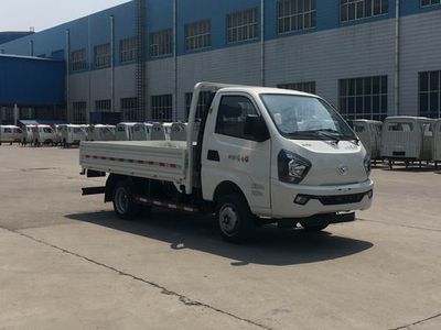 Shifeng  SSF1042HDJC21 Truck