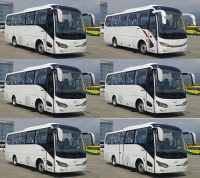 Jinlong  XMQ6879AYN5B coach