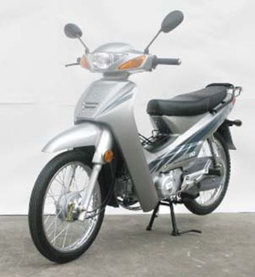 Zongshen brand automobiles ZS1109S Two wheeled motorcycles