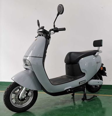 Trevi Lion TS1200DT5 Electric two wheeled motorcycle