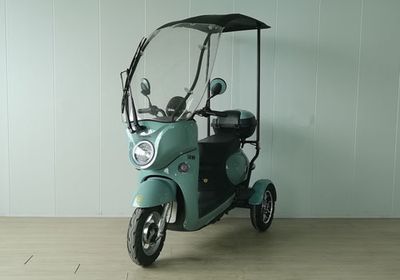 Green Shuo  LS1000DZK Electric tricycle