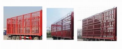 Star Steyr ZZ5253CCQM56CGE1 Livestock and poultry transport vehicles