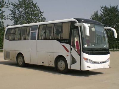 Jinlong  XMQ6898BYD4B coach