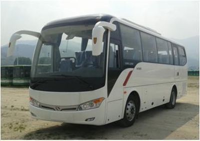 Jinlong  XMQ6898BYD4B coach