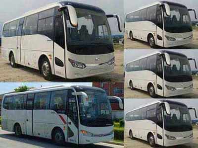 Jinlong  XMQ6898BYD4B coach