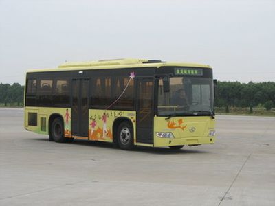 Jinlong  XMQ6901G City buses