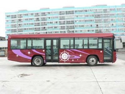 Yutong  ZK6100GN City buses