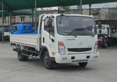 Dayun  CGC1047HDD33D Truck