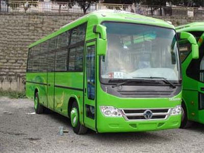 Hengtong Bus CKZ6121CWD3 Sleeper coach