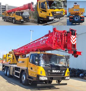 Sany  SYM5323JQZ25E Car crane