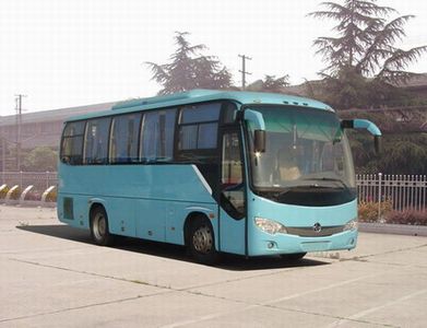 Yaxing YBL6896H2coach