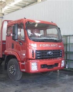 Foton  BJ1163VKPFKA Truck