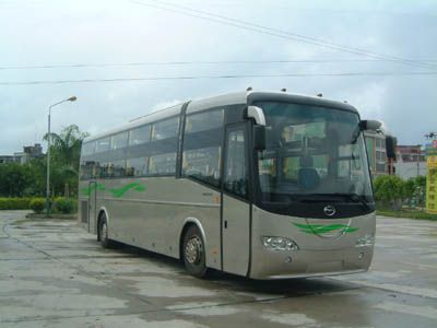 Wuzhoulong  FDG6121AW4 Luxury tourist sleeper coach