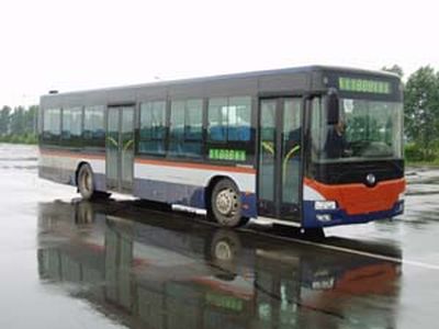 Huanghai  DD6118S12 City buses