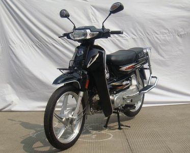 Fuxianda  FXD1106C Two wheeled motorcycles