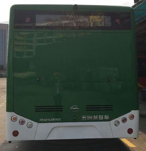 Wuzhoulong  FDG6105EVG7 Pure electric city buses