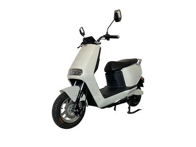 Europa  OP800DQT55 Electric two wheeled light motorcycle