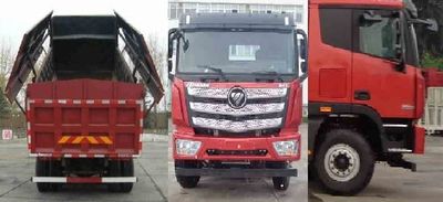 Ouman  BJ3259DLPKEAP Dump truck