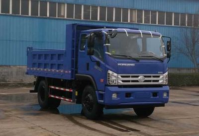 Foton  BJ3183DKPEAFA Dump truck