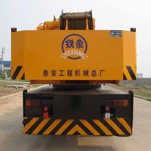 Tiexiang  TGZ5296JQZQY25A Car crane