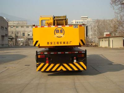 Tiexiang  TGZ5296JQZQY25A Car crane