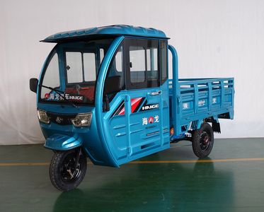 Hago  HG1500DZH5 Electric tricycle