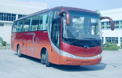 Wuzhoulong  FDG6110DC31 coach