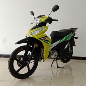 Fenghuolun  FHL12510 Two wheeled motorcycles