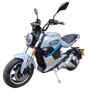 New Japanese  XR2000D6 Electric two wheeled motorcycle