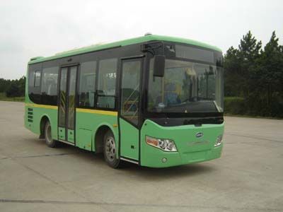 Heke  HK6740G City buses