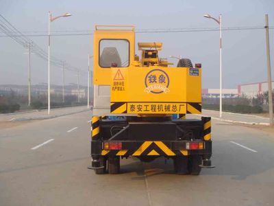 Tiexiang  TGZ5095JQZQY8A1 Car crane