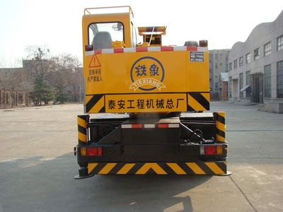 Tiexiang  TGZ5095JQZQY8A1 Car crane