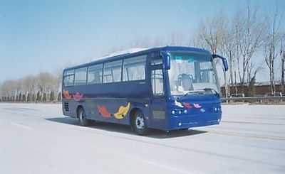 Huanghai  DD6101H Tourist buses