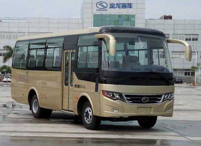 Jinlong  XMQ6750AYD5D1 coach