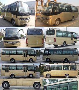 Jinlong  XMQ6750AYD5D1 coach